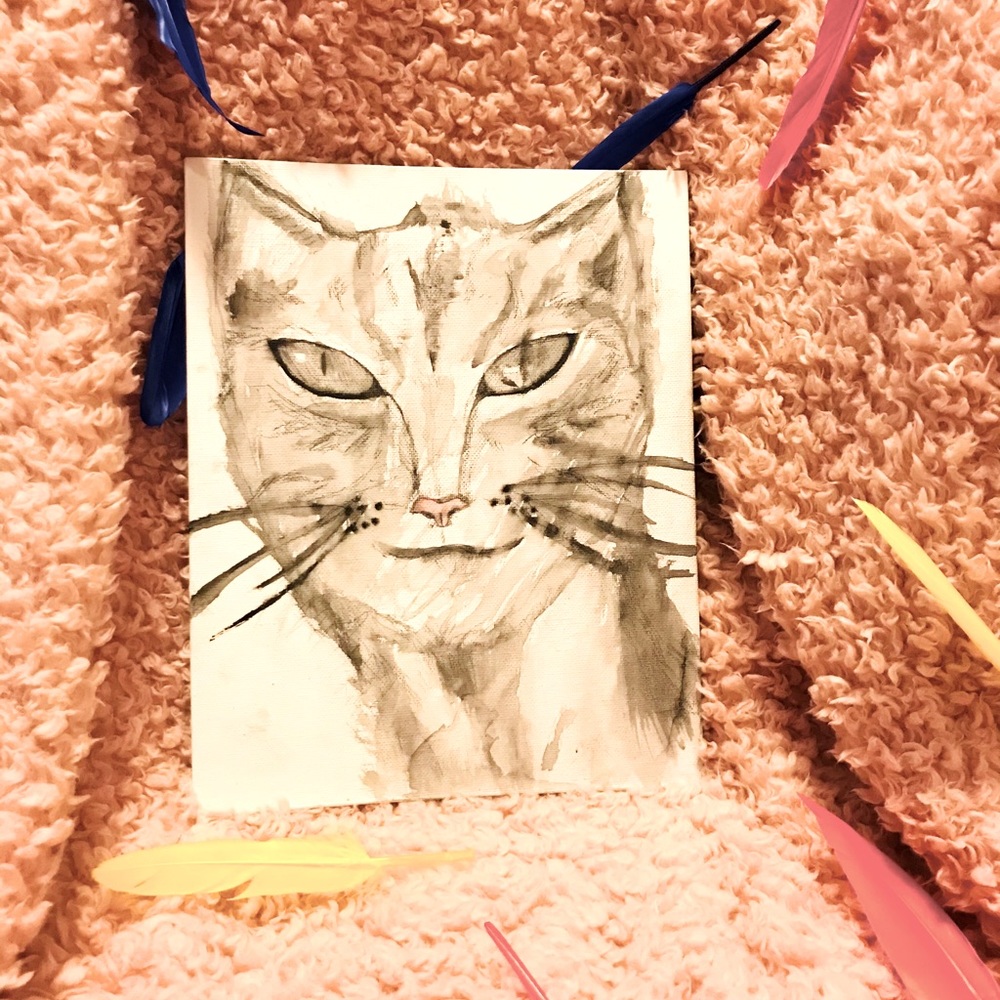 Cat Drawing